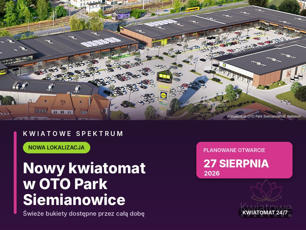 OTO Park